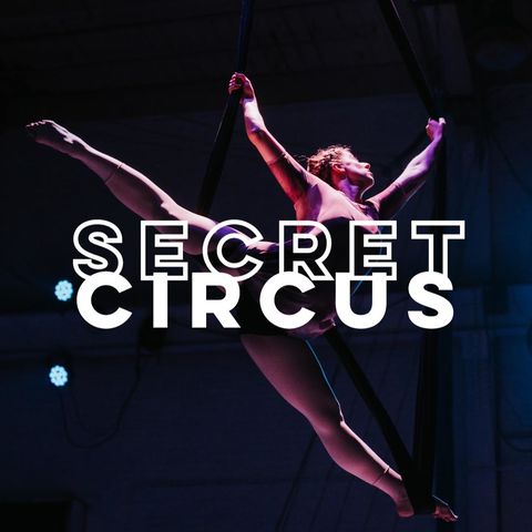 Secret Circus - School - United States - StageLync