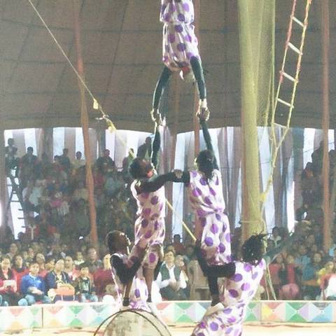Circus Promoter - Individual - Kenya - StageLync