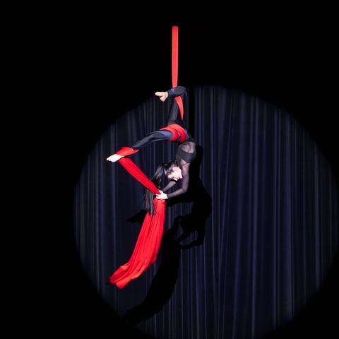 Metith Seibert - Individual - Austria, United Kingdom - StageLync