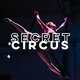 Secret Circus - School - United States - StageLync
