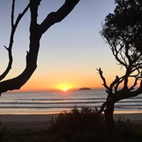 Daniel Stevens - Individual - Australia - StageLync