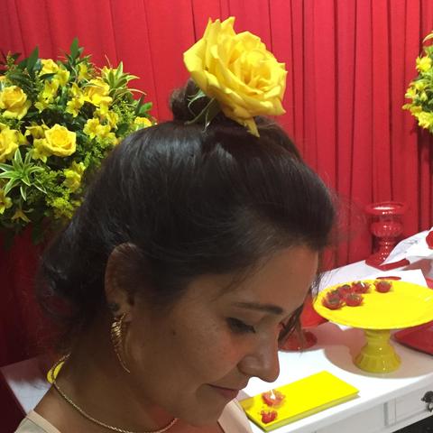 Luila Rosa - Individual - Brazil - StageLync