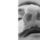 Serena Alaimo - Individual - Italy - StageLync