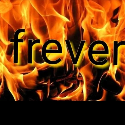 Group frever - Company - Colombia - StageLync