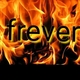 Group frever - Company - Colombia - StageLync