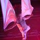 Susanna SeaFire - Individual - Poland, United States - StageLync