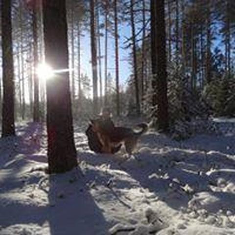 Egils Zvejnieks - Individual - Latvia - StageLync