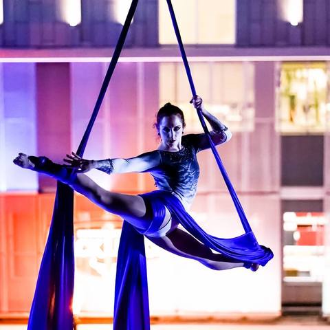 Angela Higgins - Individual - United States - StageLync