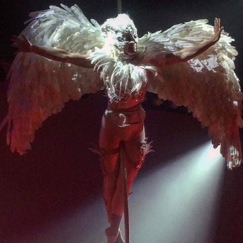 lyn routledge - Individual - United Kingdom - StageLync