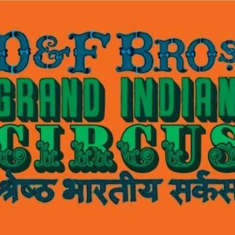 D and F Bros. Grand Indian Circus - Company - India - StageLync