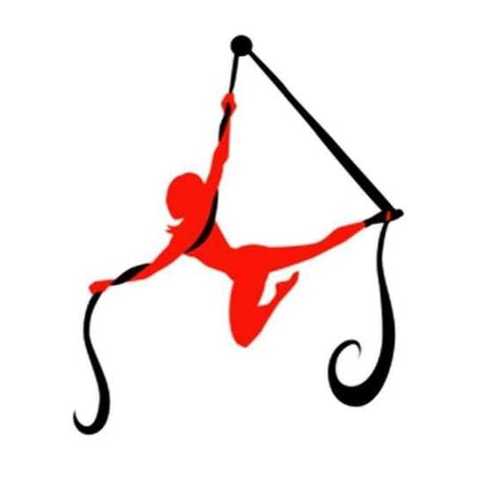 Pittsburgh Aerial Silks and Circus - School - United States - StageLync