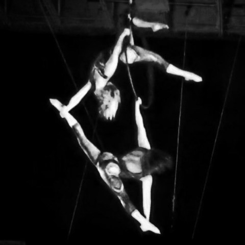 Molly Murcia - Individual - United States - StageLync