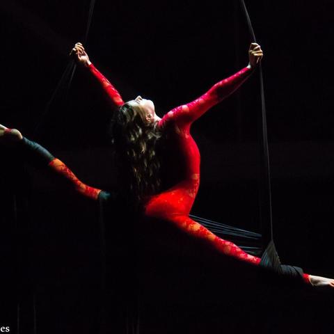 Elizabeth Marsh - Individual - United States - StageLync