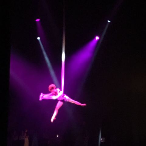 Pauline - Company - France - StageLync