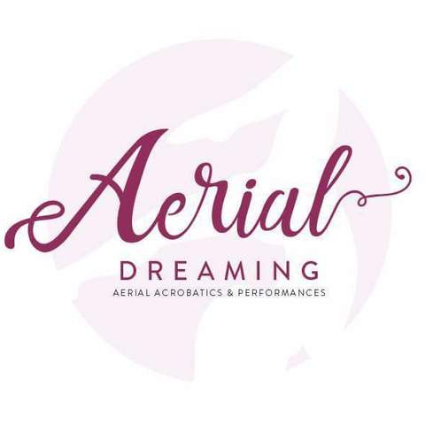 Aerial Dreaming - Company - Australia - StageLync