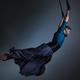Joel Le Clercq - Individual - United Kingdom - StageLync