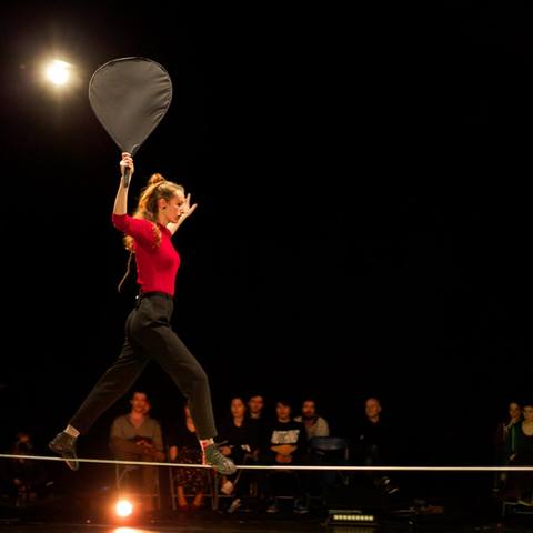 Annemarie Platteschor - Individual - Netherlands - StageLync