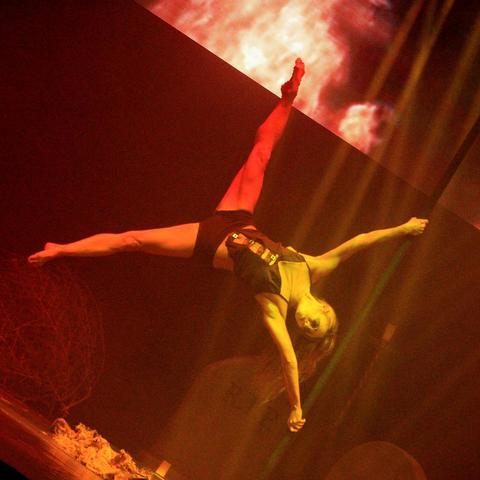 Cristina Sangiorgi - Individual - Italy - StageLync