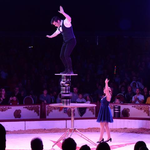 David Herczeg - Individual - Hungary - StageLync