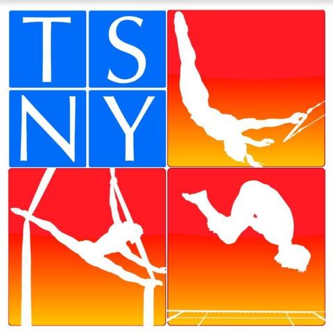 Trapeze School New York - NYC - School - United States - StageLync