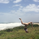 Holly Hall - Individual - Australia, British Virgin Islands, New Zealand - StageLync
