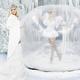 Glisse on Ice - Company - Canada - StageLync