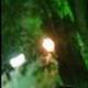 circosocialpatiosdemaroma - Individual - Mexico - StageLync