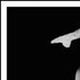 La Gallina de Metal - Company - Spain - StageLync