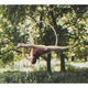 Margo Kornienko - Individual - Ukraine - StageLync