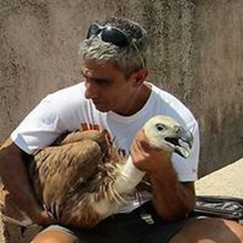 NIKITAS GAVALAS - Individual - Greece - StageLync