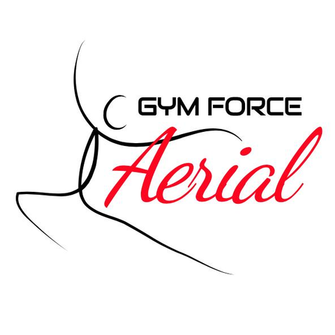 Gym Force Aerial - School - United States - StageLync