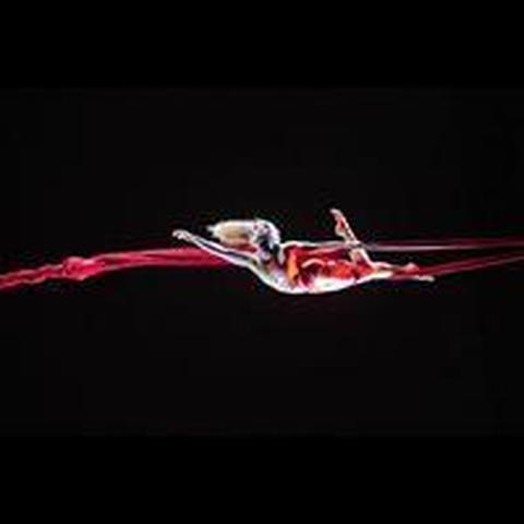 Laura Clark - Individual - United States - StageLync