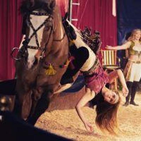 Emily  Kamp - Individual - United States - StageLync
