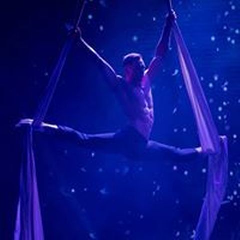 Paltsev Agene - Individual - Russia - StageLync