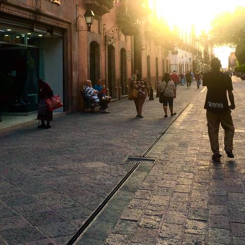 perro rojo y azul dog blue red - Individual - Mexico - StageLync