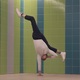 Alvin Nilsen-Nygaard - Individual - Norway - StageLync