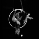 Tara Bergen - Individual - Canada - StageLync