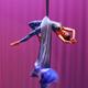 Aerial Arts of Menlo Park - School - United States - StageLync