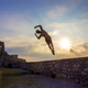 Ricardo Lorenzo Tomazi - Individual - Brazil, Spain - StageLync
