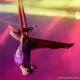 Katia Garcia - Individual - Mexico - StageLync