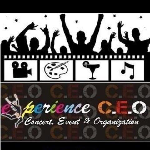 Experience Ceo - Company - Turkey - StageLync