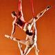 Luminario Ballet of Los Angeles - Company - United States - StageLync