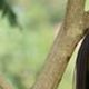 Carmen Vergara - Individual - El Salvador - StageLync