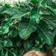 Betty S - Individual - United States - StageLync