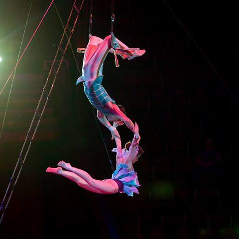 Sergey Deynega - Individual - Ukraine - StageLync