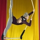 Alexandra Ansari - Individual - United States - StageLync