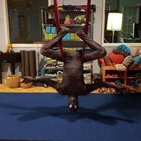 Yoga Aerialists of Pensacola - Organization - United States - StageLync