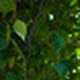 Lito Skopeliti - Individual - Greece - StageLync