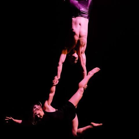 Boomtown Okrabats - Company - New Zealand - StageLync