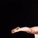 Jennifer Franco - Individual - United States - StageLync